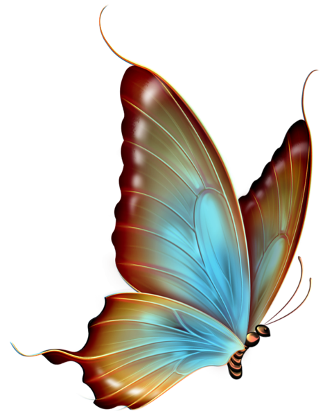 Brown and Blue Transparent Butterfly Clipart