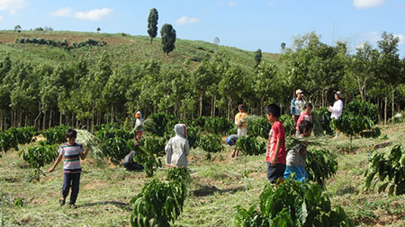 APL-Làm-việc-03