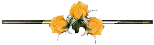 YELLOW ROSES